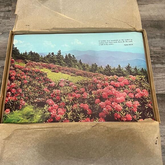 Set of 6 vintage permanent plastic coated inspirational placemats - Picture 6 of 11